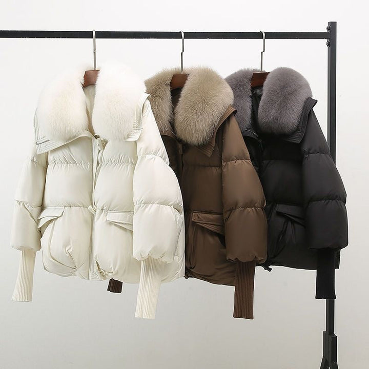 Valine - Elegant Glam Jacket